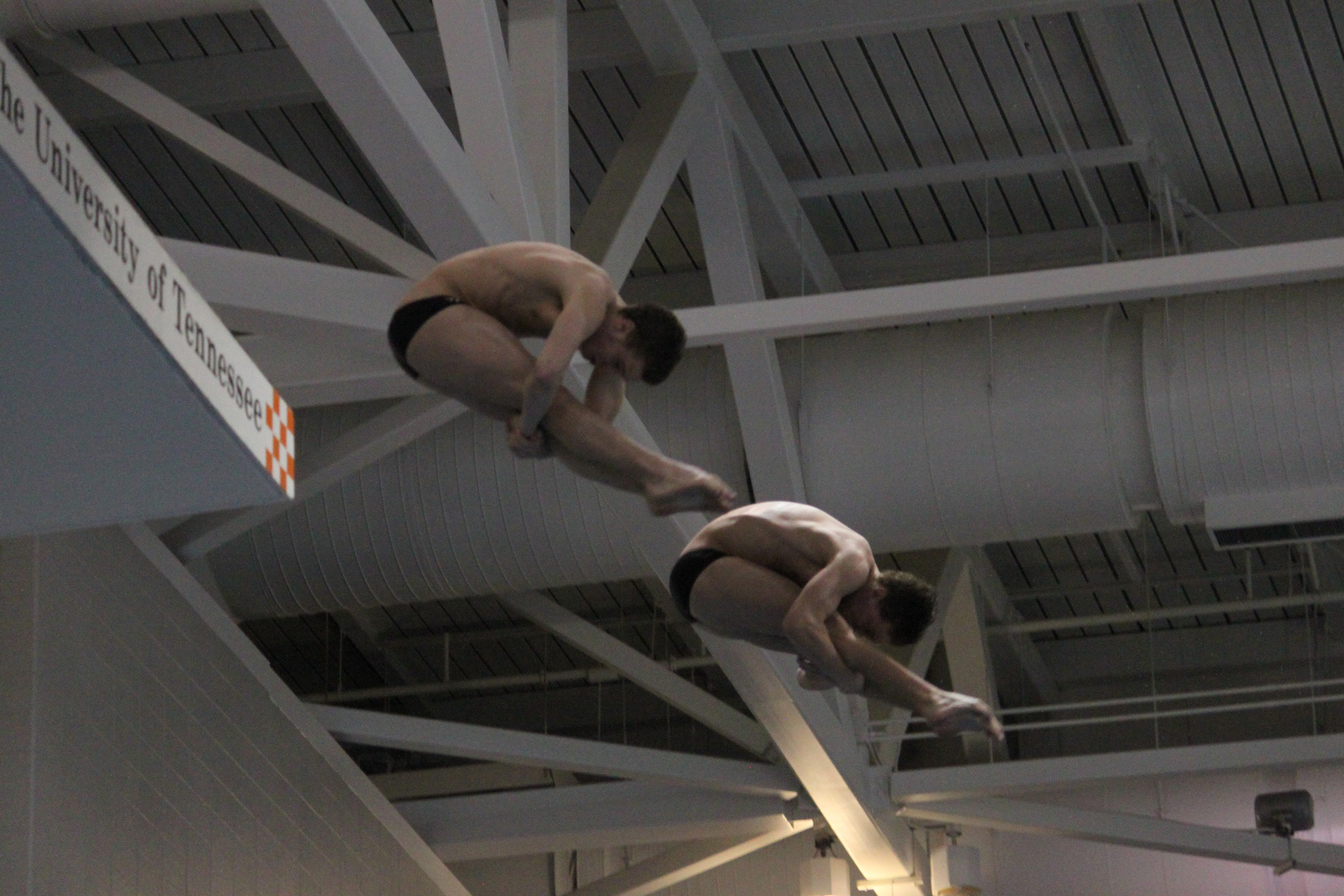 Hawkins and Shinholser synchronize diving at the 2012 USA Diving Winter Nationals 